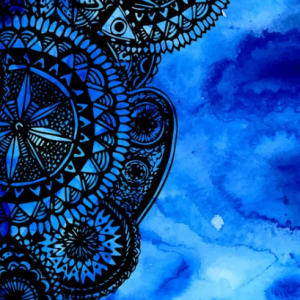 Dynamic Sports Mobility